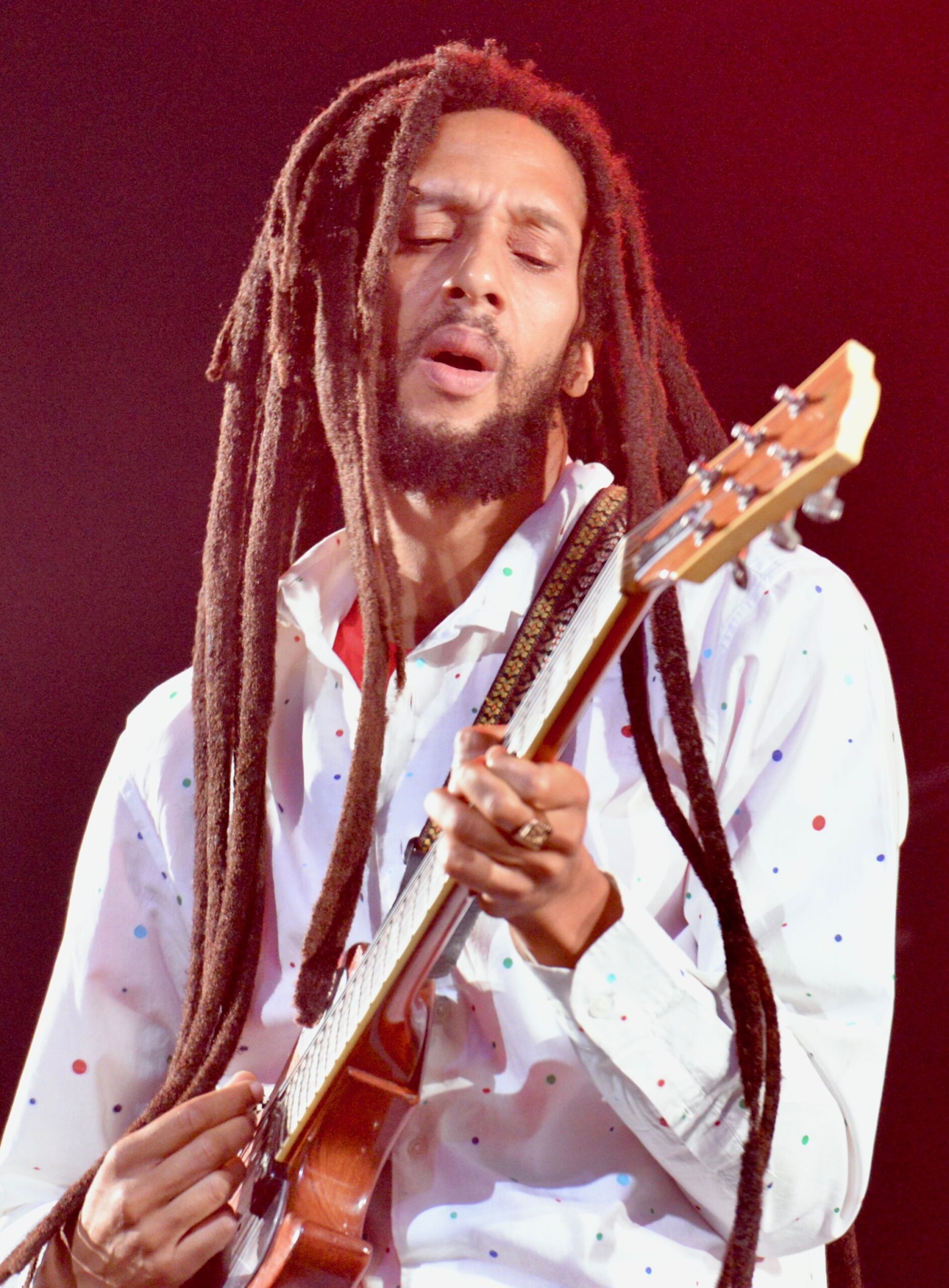JulianMarley4_(cropped)